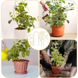 Svepndic Mini Gold Plant Trellis Set
