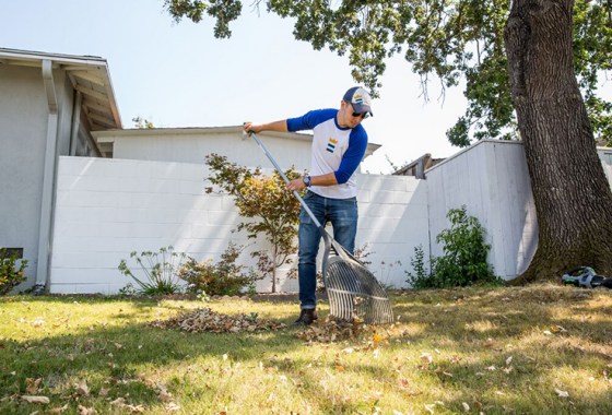 The quintessential fall lawn care schedule
