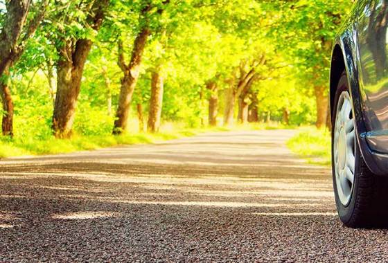 Best Low-Profile Tires