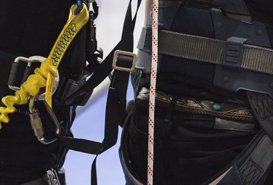 Best Shock Lanyards