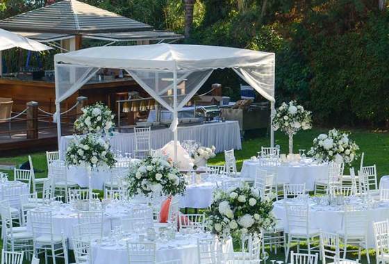 Best Wedding Canopies
