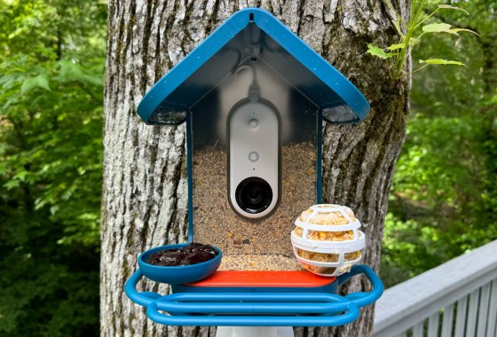 Best Smart Bird Feeders