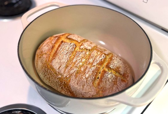 Lodge vs. Amazon Basics Dutch ovens: Which is best?