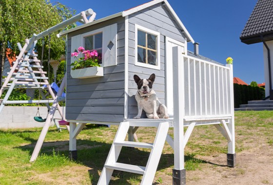Insulated doghouses and other accessories to keep your furry friends warm