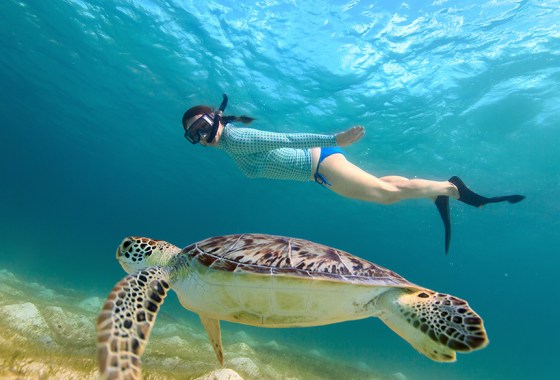 The best tips and equipment for learning to snorkel