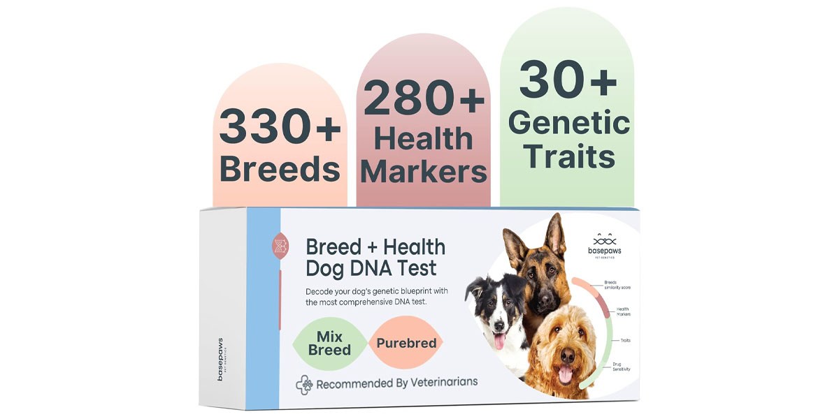 Basepaws Pet DNA Kit Basepaws Pet DNA Kit