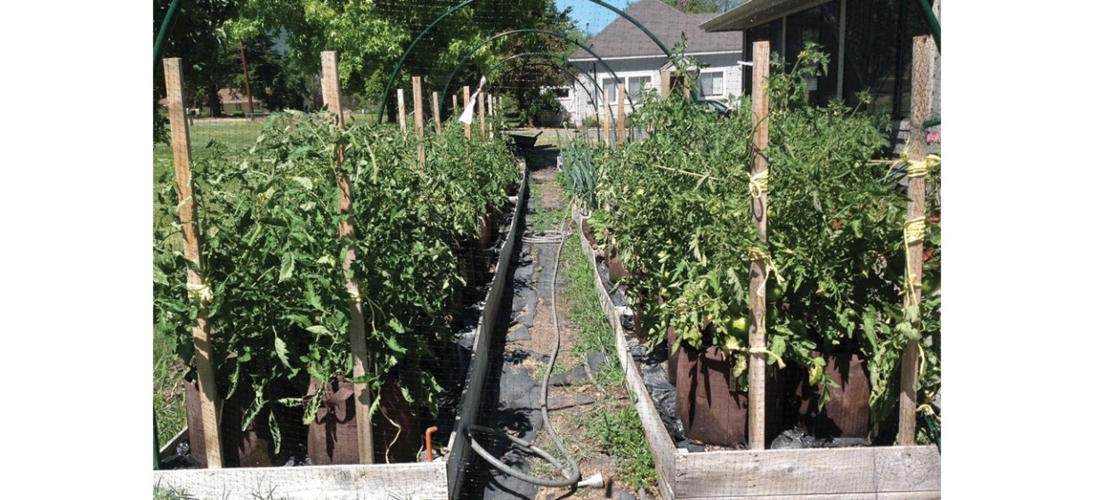 Root Pouch Fabric Garden Grow Bags