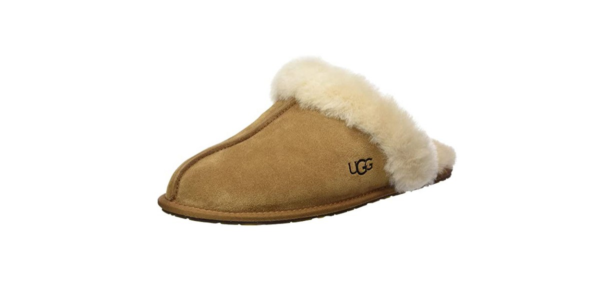 Best UGG Slippers Best UGG Slippers