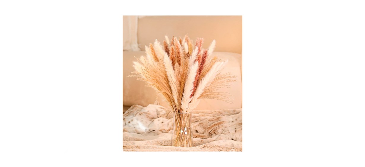 Best MagicDecor Dried Pampas Grass Best MagicDecor Dried Pampas Grass