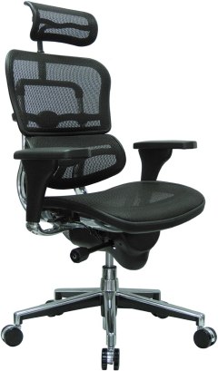 Ergohuman High-Back Mesh Office Chair