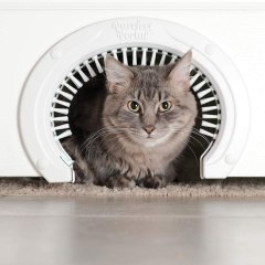 Purrfect Portal Cat Door for Interior Doors with Grooming Brush