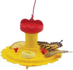 Songbird Essentials Butterfly Feeder/Nectar Combo