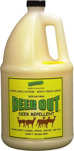 Deer Out 1 Gallon Concentrate Deer Repellent