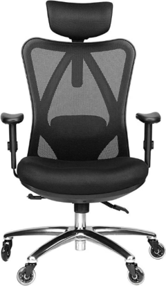 Duramont Ergonomic Desk Chair