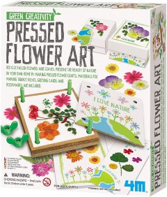 4M Pressed Flower Kit Art