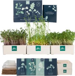 Urban Leaf Indoor Microgreens Growing Kit
