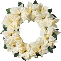 Balsam Hill 26-inch Ivory Poinsettia Artificial Wreath