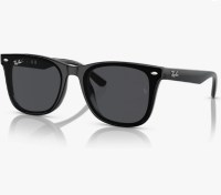 Ray-Ban RB4420 Square Sunglasses