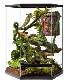 Thrive Vertical Hexagon Tropical Reptile Terrarium