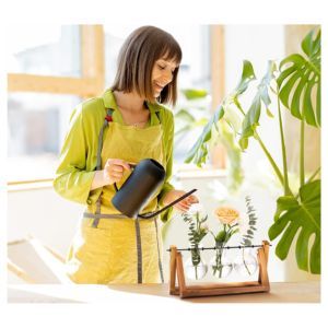 XXXFLOWER Plant Terrarium with Wooden Stand