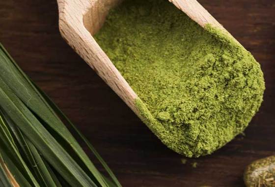 Best Intestinal Cleanse Supplements