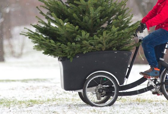 Best Adult Tricycles