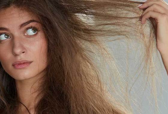 Best Shampoos for Dry Hair