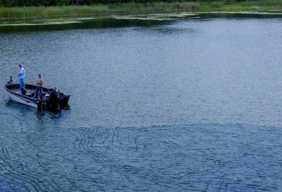 Best Garmin Fish Finders