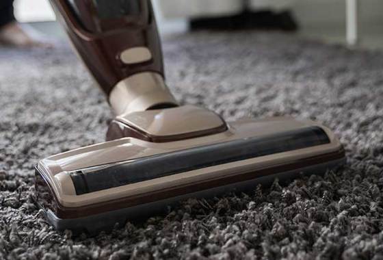 Best Shark Upright Vacuums