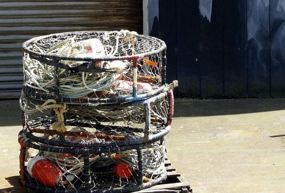 Best Crab Traps