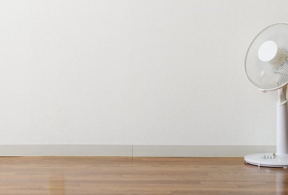 Best Oscillating Stand Fans