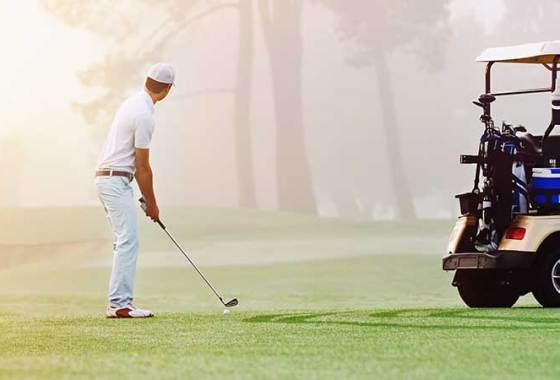 Best Golf Cart Battery Chargers