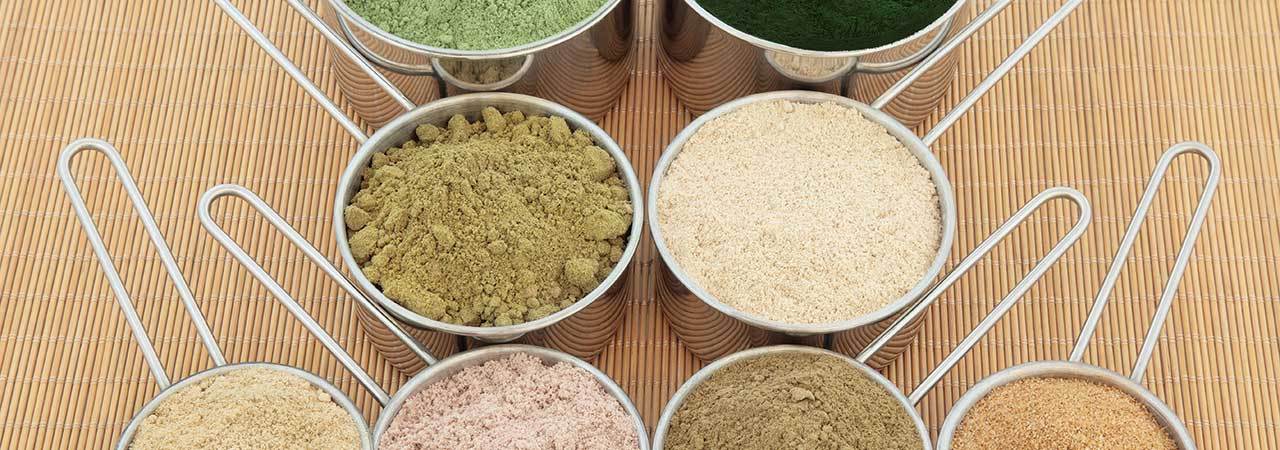 wow plant based protein powder review