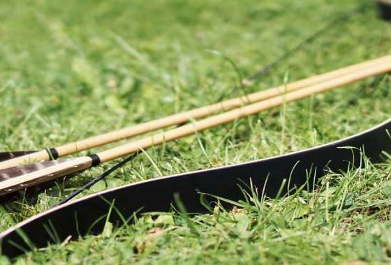 Best Compact Bow Cases