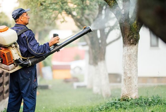 Best Backpack Sprayers