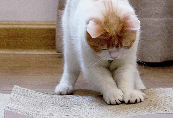 Best Scratching Pads for Cats