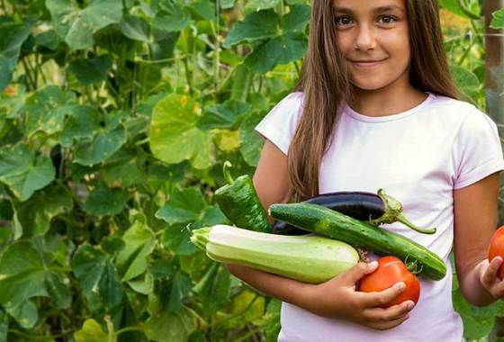 Best Vegetable Seeds