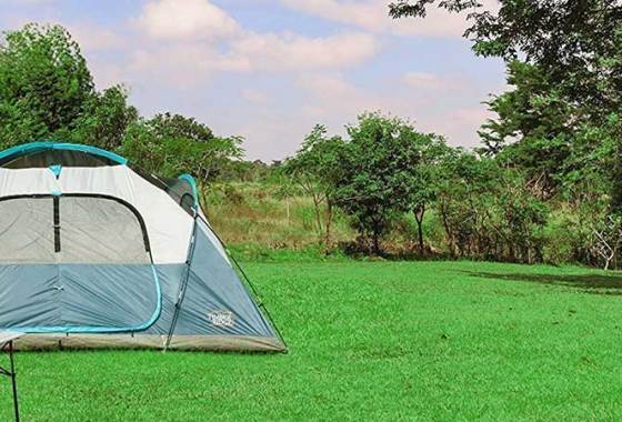 Best 10-Person Tents