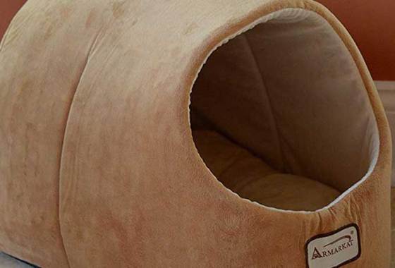Best Covered Dog Beds