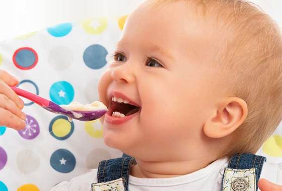 Best Puree Baby Food