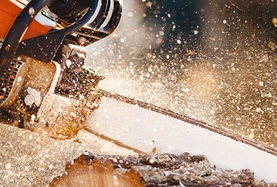 Best Saws