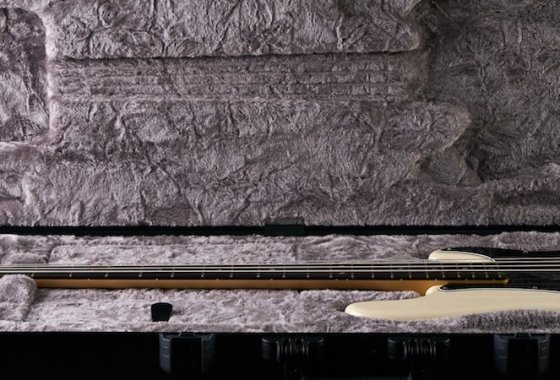 Best Bass Guitar Cases