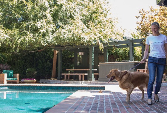 Best Leather Dog Collars