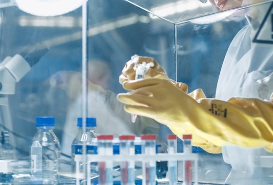 Best Chemical-Resistant Work Gloves