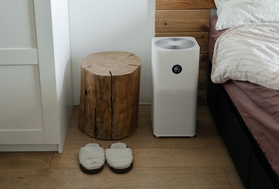 Best Air Purifiers