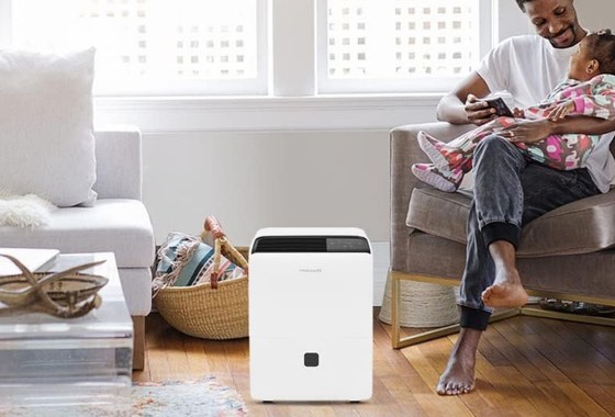 Which dehumidifier is best for basements?