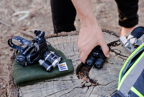 Bird-watching tips and tricks