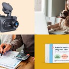 Top must-haves and essential services to protect your pets and cars