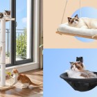 Be a good human and buy your cat a window perch