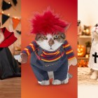 9 Halloween costumes that let your evil cat shine